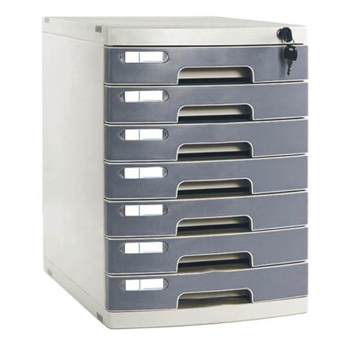 Portable Locking File Box & Desktop Document Organizer